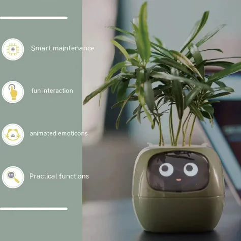Smart Planter with Rich Expressions