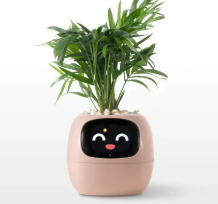 Smart Planter with Rich Expressions
