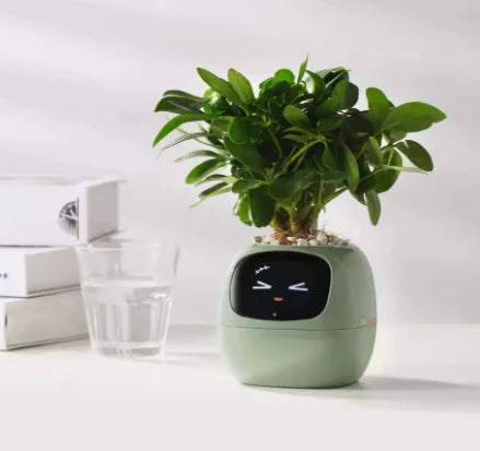 Smart Planter with Rich Expressions