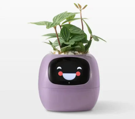 Smart Planter with Rich Expressions