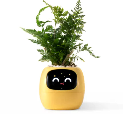 Smart Planter with Rich Expressions